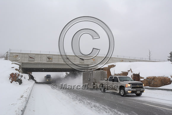 Wildlife overpass (about 30 m wide), Hwy 69, Ontario, Canada