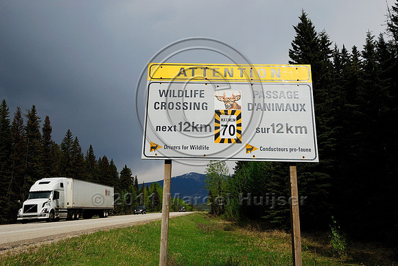 Wildlife warning sign, Attention Wildlife crossing Next 12 km Maximum speed limit 70 km/h, AB