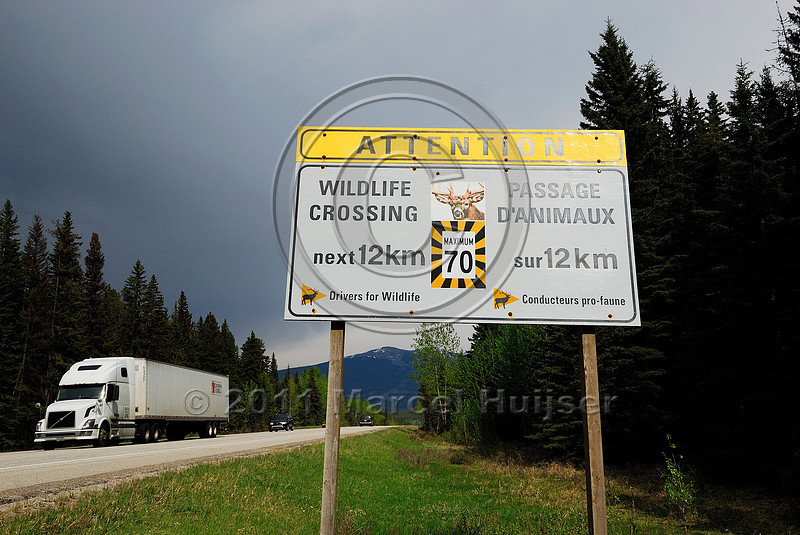Marcel Huijser Photography | Wildlife warning signs | Wildlife warning ...