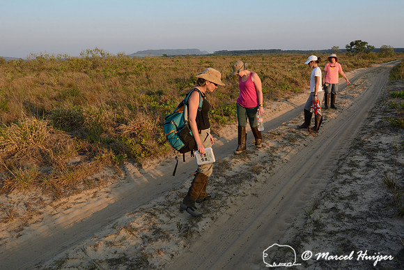 Bruna Oliveira, Maisa Ziviani Alves, Larissa Oliveira Gonçalves and Bethanie Walder look for tracks of maned wolf (Chrysocyon brachyurus) along a dirt road, Estação Experimental e a Estação Ecológica