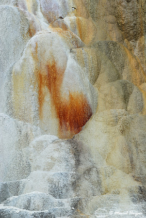 Mammoth Hot Springs, Wyoming, USA