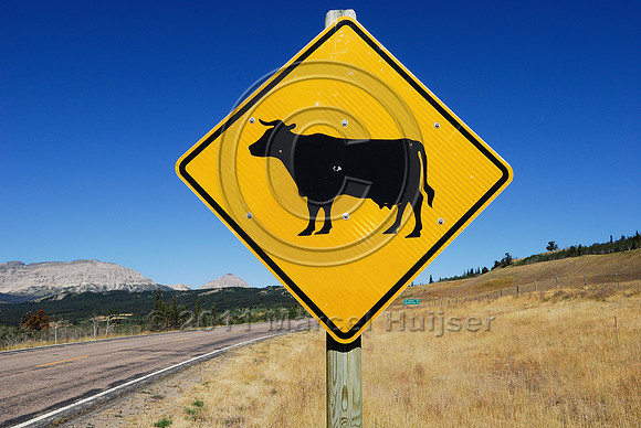 Free range livestock warning sign, MT