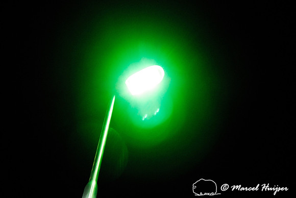 Push button for green street lights, N302, Leuvenumseweg, Sonnevanck, east of Harderwijk, The Netherlands