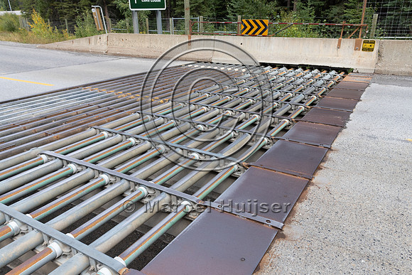 Electrified barrier to keep bears off the highway, exit Sunshine