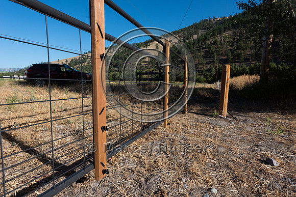 Installing electric fence and gates at a melon field to keep bla