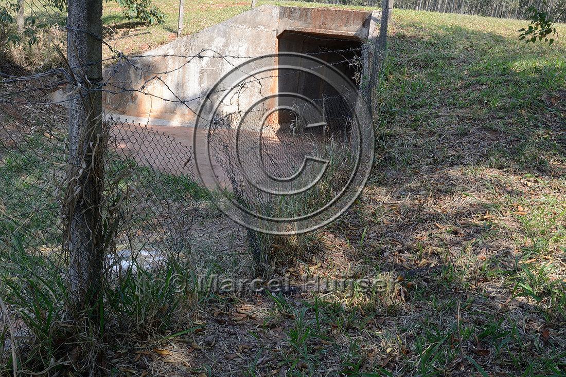 Hole in wildlife fence near underpass, SP-225 near Brotas, São Paulo, Brazil
