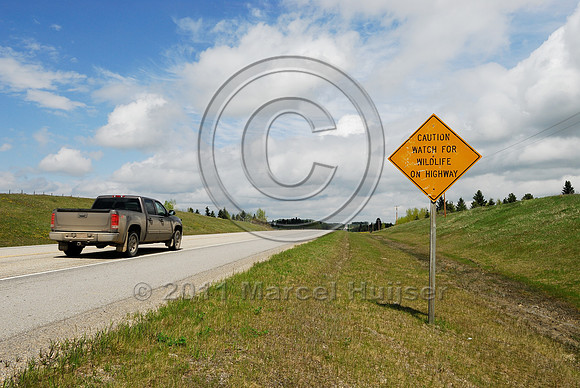Wildlife warning sign, Caution Watch for wildlife on highway, AB