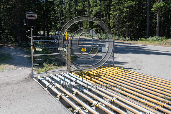 Electrified barrier to keep bears out of a campground, Lake Loui