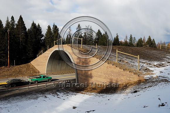 Wildlife overpass "animals' bridge" just after construction was completed, US Hwy 93, Flathead Indian Reservation, near Evaro, Montana, USA