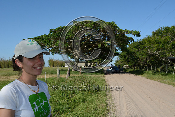 Paula Pinheiro (Núcleo de Ecologia de Rodovias e Ferrovias (NERF), Universidade Federal do Rio Grande do Sul), during field work near Mostardas, Rio Grande do Sul, Brazil