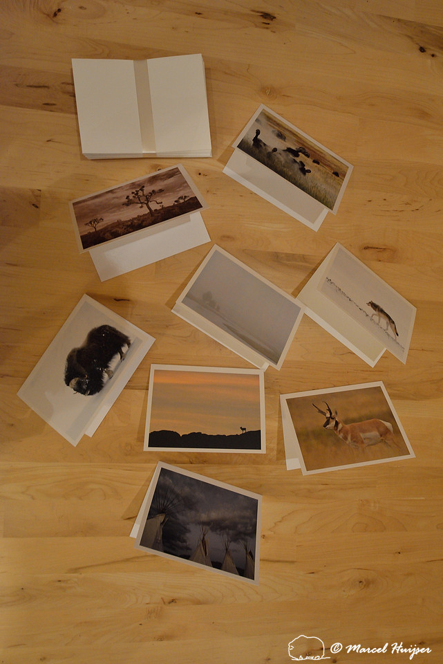 Folded cards, wildlife and landscapes with envelope