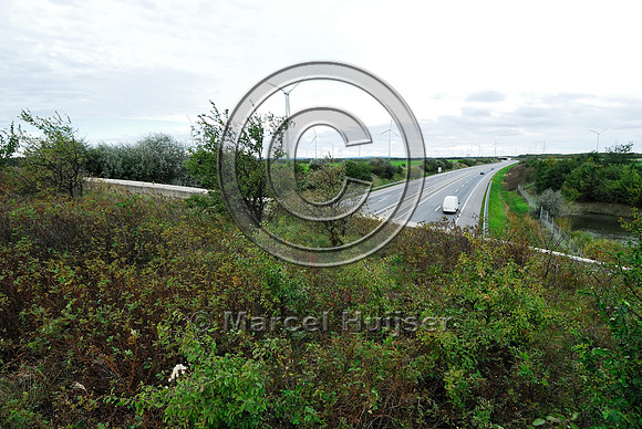 Area outside fence on top of multifunctional overpass (wildlife, bicyclists, pedestrians; about 100 m wide), across A4 motorway, Parndorf, Austria