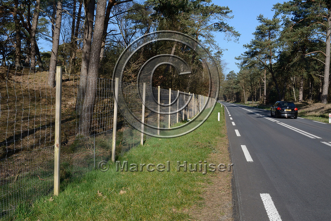 Wildlife fence, south of Otterlo, The Netherlands