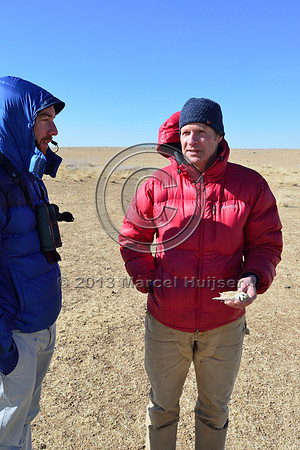 Jez Bird and Tony Clevenger with dead horned lark (Eremophila alpestris) found dead under power line, between Hanbogd and Oyu Tolgoi, near Hanbogd, Ömnögovi, Mongolia