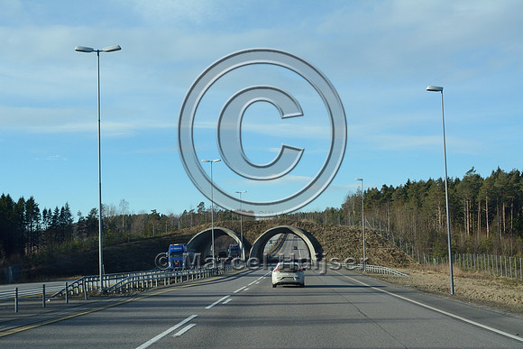 Wildlife overpass (about  28 m wide), E6 motorway, near Råde, Norway