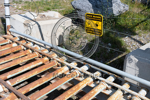 Electrified barrier to keep bears off the highway, exit Lake O'H