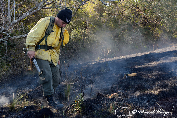 Fire fighter kicking out the last bits of a grass fire, Parque Nacional da Serra da Bocaina, São Paulo, Brazil