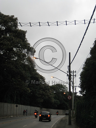 Note: image has relatively low resolution. Arboreal overpass for howler monkeys and sloths across a road bordering the zoo, Parque Zoologico de Sao Paulo, Av. Miguel Stéfano, São Paulo, Brazil