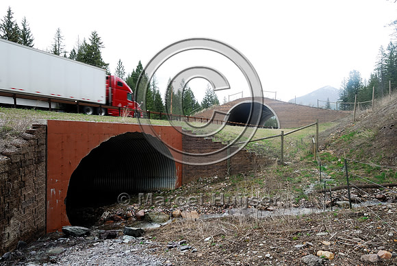 Wildlife underpass (foreground) and overpass (background), Flathead Indian Reservation, near Evaro, Montana, USA