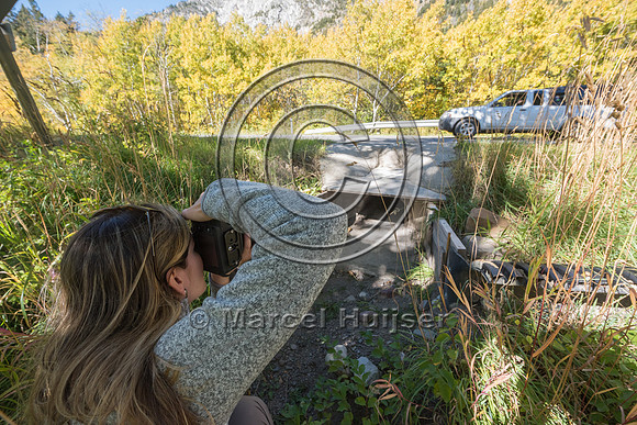 Fernanda Abra at wildlife underpass for long-toed salamanders (A