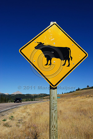 Free range livestock warning sign, MT