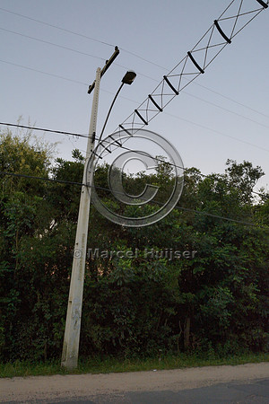 Canopy crossing for brown howler monkeys (Alouatta guariba clamitans), near Porto Alegre, Rio Grande do Sul, Brazil
