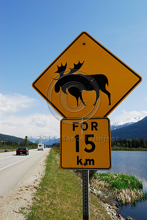 Moose (Alces alces) warning sign, for 15 km, BC