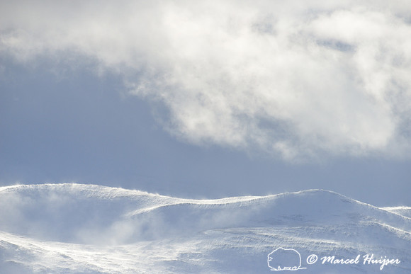 Blowing snow on mountains, Dovrefjell National Park, Norway