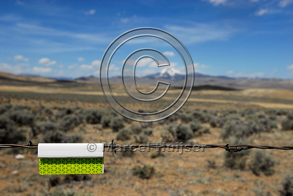 Markers on livestock fences or right-of-way fences to reduce sage grouse colliding with these fences, near Bannack, Montana, USA
