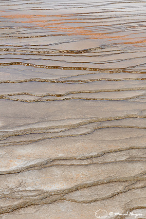 Grand Prismatic Spring, Midway Geyser Basin, Yellowstone National Park, Wyoming, USA
