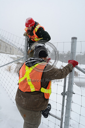James Baxter-Gilbert and Sean climb fence because snow prevents gate from opening at wildlife overpass, Hwy 69, Ontario, Canada
