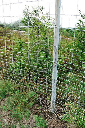 Mesh wire wildlife fence with metal poles on top of multifunctional overpass (wildlife, bicyclists, pedestrians; about 100 m wide), across A4 motorway, Parndorf, Austria