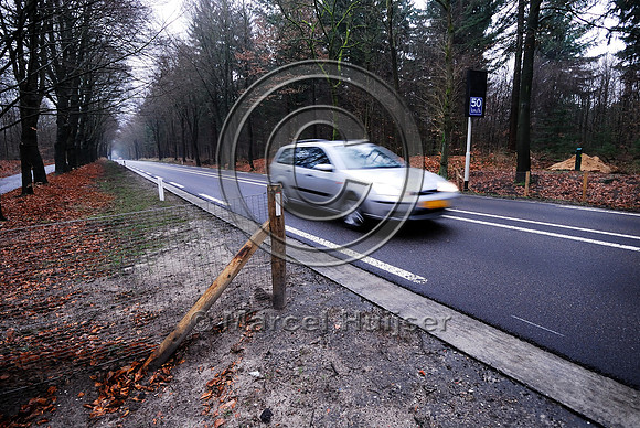 Animal detection system LED SICK WS WE 45 at a gap in a wildlife fence near Harderwijk, The Netherland