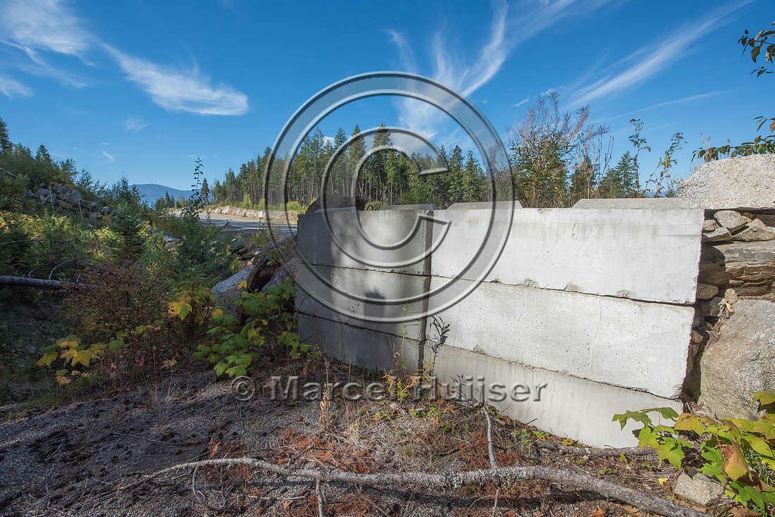 Wildlife jump-out, US Hwy 95, north of Bonners Ferry, Idaho, USA