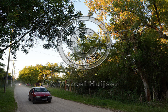 Canopy crossing for brown howler monkeys (Alouatta guariba clamitans), near Porto Alegre, Rio Grande do Sul, Brazil