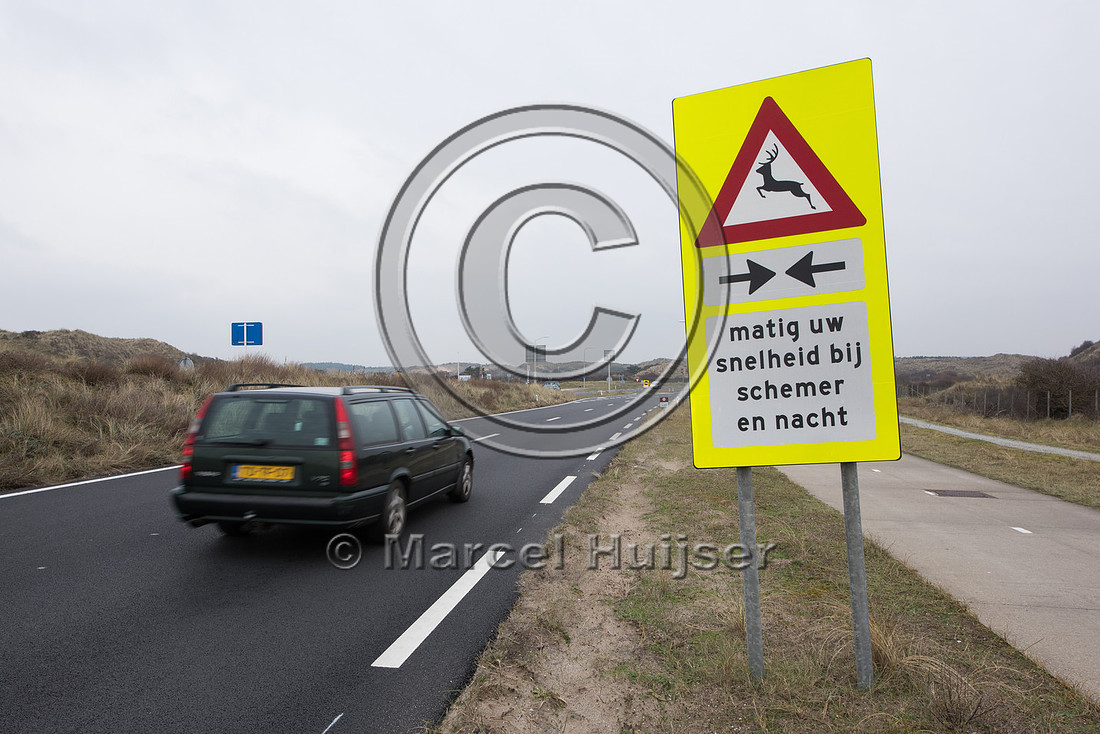 Wildlife warning sign, reduce vehicle speed at dusk and during t