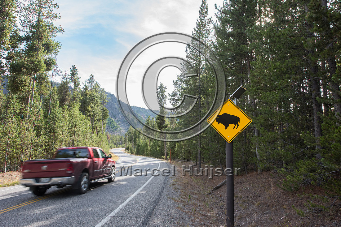 Wildlife warning sign for bison (Bison bison), Yellowstone Natio