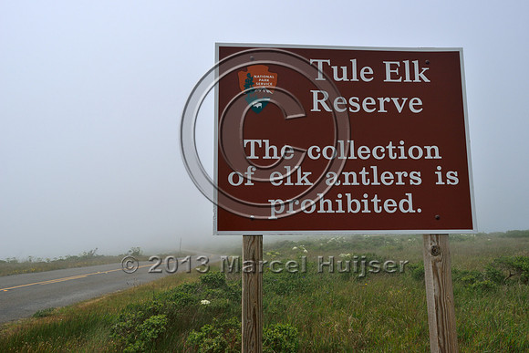 Wildlife guard for tule elk (Cervus canadensis nannodes), Point Reyes National Seashore, California, USA