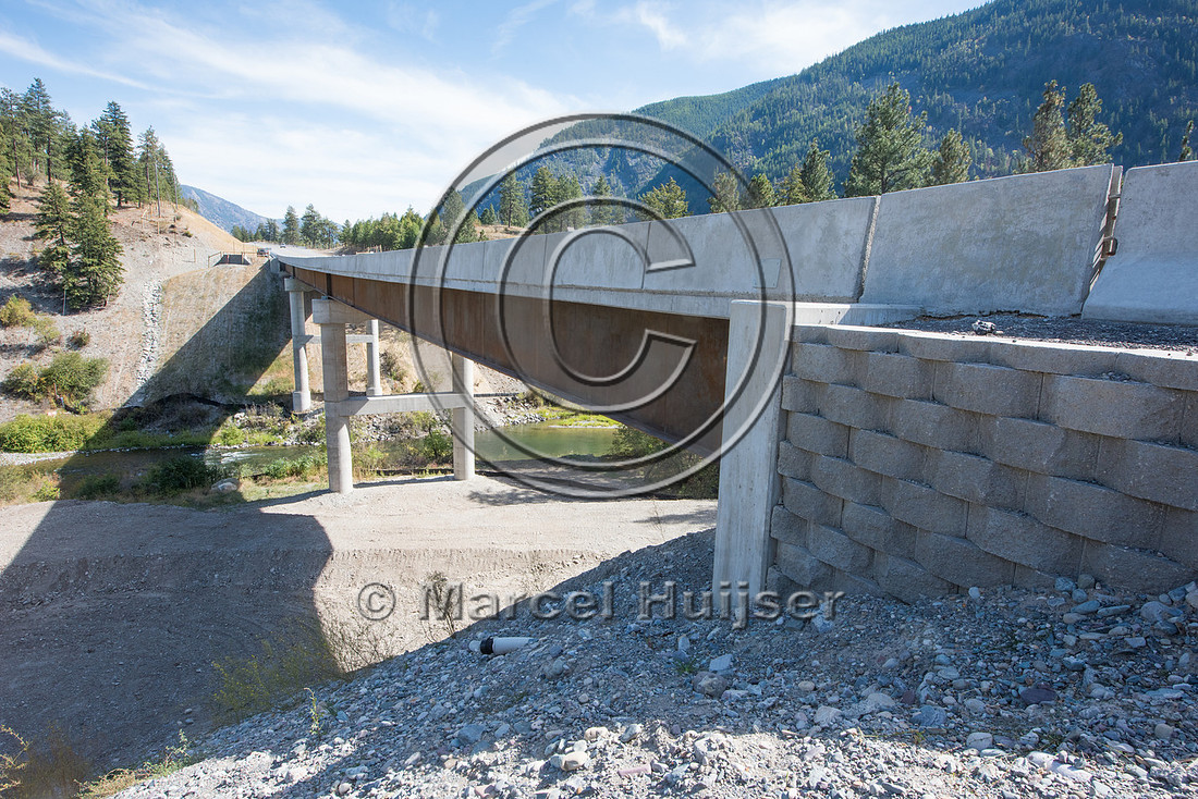 Bridge across river, also suitable for bighorn sheep (Ovis canad