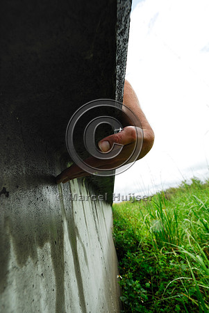 Barrier wall with overhang for reptiles, amphibians and small mammals, U.S. 441, Paynes Prairie