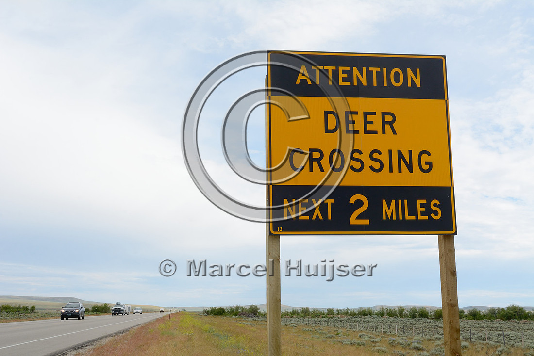 Wildlife warning sign, attention, deer crossing, next 2 miles, US Hwy 191, north of Daniel, Wyoming, USA
