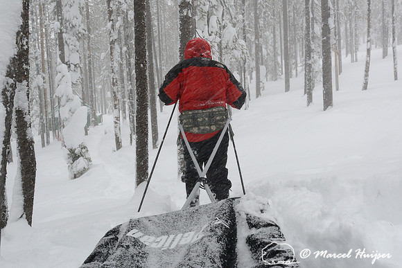 Marcel Huijser pulls a cargo sled to winter camp site, Montana, USA