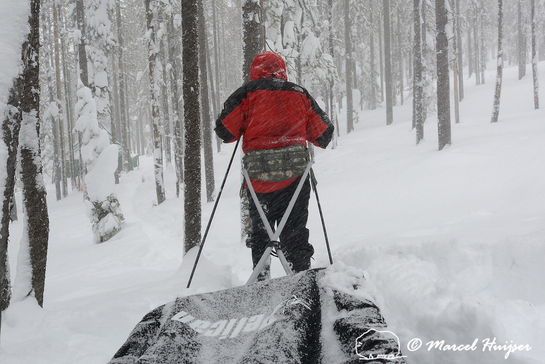 Marcel Huijser pulls a cargo sled to winter camp site, Montana, USA