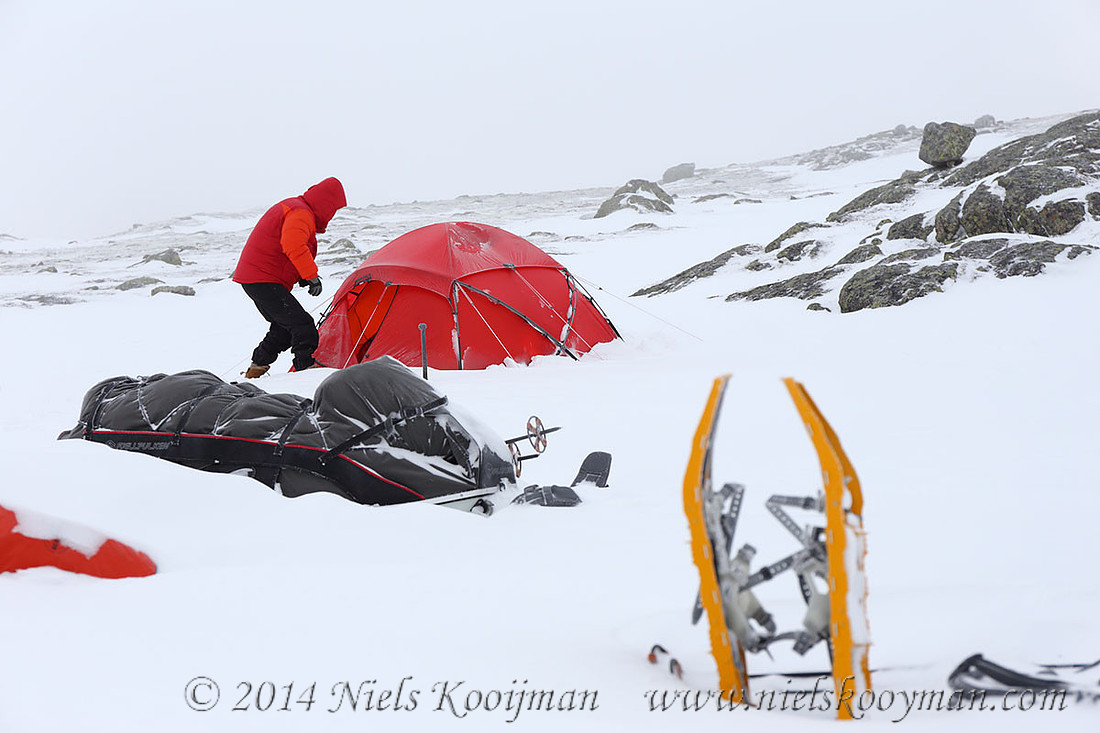 Marcel Huijser in Dovrefjell National Park, Norway