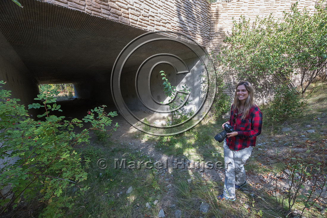 Fernanda Abra at wildlife underpass north of Bonners Ferry, Nort