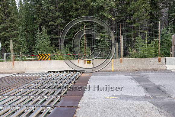 Electrified barrier to keep bears off the highway, exit Sunshine