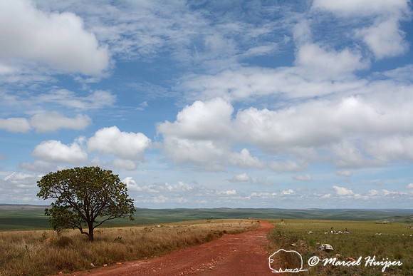 Burnt area (right), the dirt road that served as a fire break, and unburnt vegetation (left), Parque Nacional da Serra da Canastra, Minas Gerais, Brazil