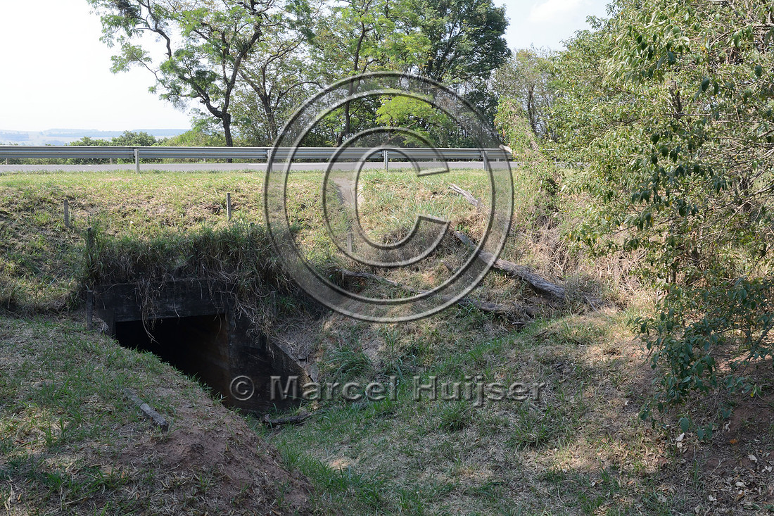 Wildlife underpass with a steep slope angled down towards the structure, SP-225, near Brotas, Brazil