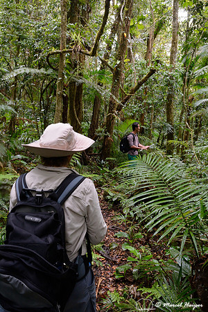 Bethanie Walder and our guide Willian, Atlantic rainforest, Parque Estadual Carlos Botelho, São Paulo State, Brazil