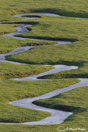 Meandering creek in bright green grassland in spring, Wyoming, USA